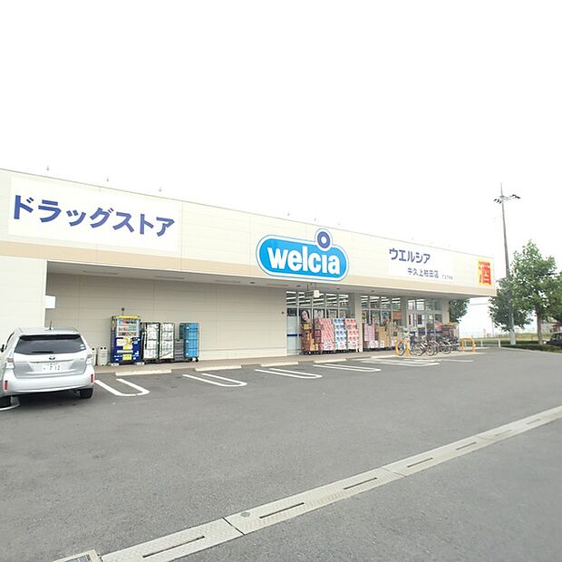 ウエルシア牛久上柏田店まで600m