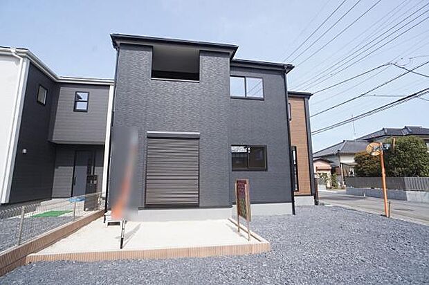 LDK前の土仕様のお庭。