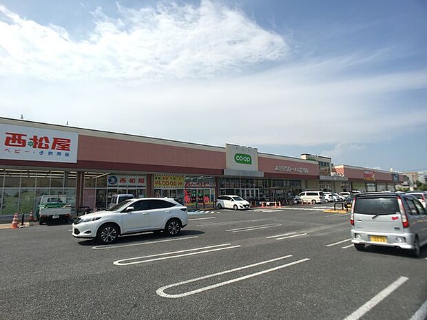 コープつちうらショッピングセンターまで1264m