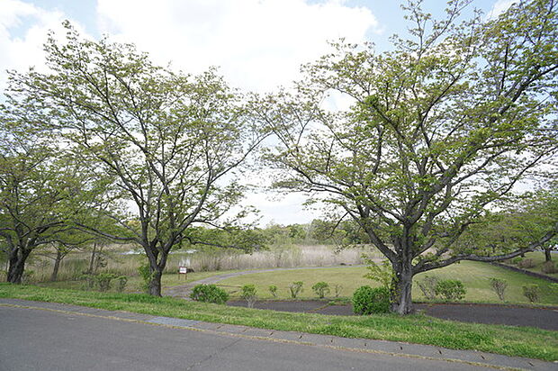 大久保公園まで1989m