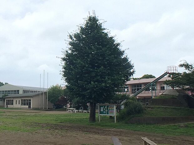 つくば市立栗原小学校まで400m