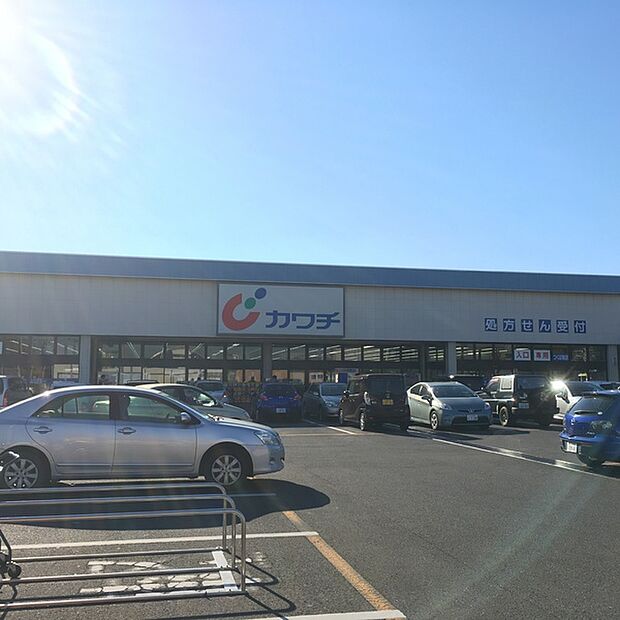 カワチ薬品つくば桜店まで3000m