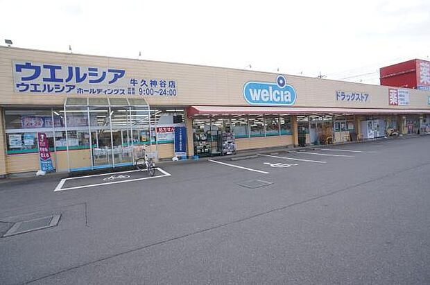 ウエルシア牛久神谷店まで350m