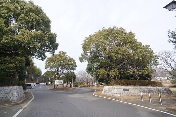 きぬ総合公園まで1749m