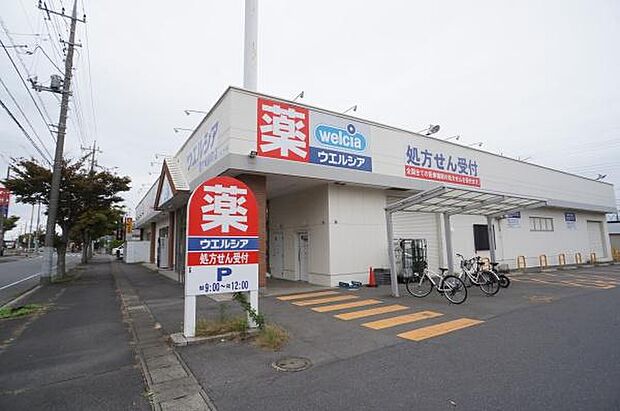 ウエルシア龍ケ崎緑町まで168m