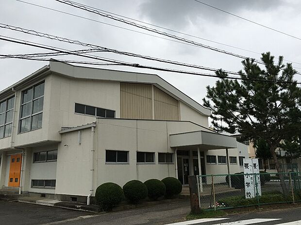 つくば市立要小学校まで110m