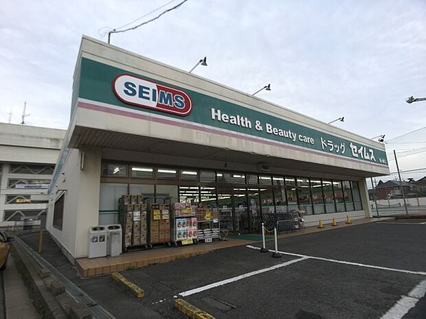 ドラッグセイムス竜ヶ崎店まで1295m