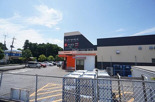 スーパーマーケットハリガエまで774m