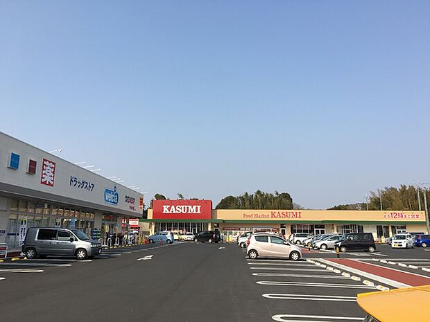 カスミ取手ゆめみ野店まで1200m
