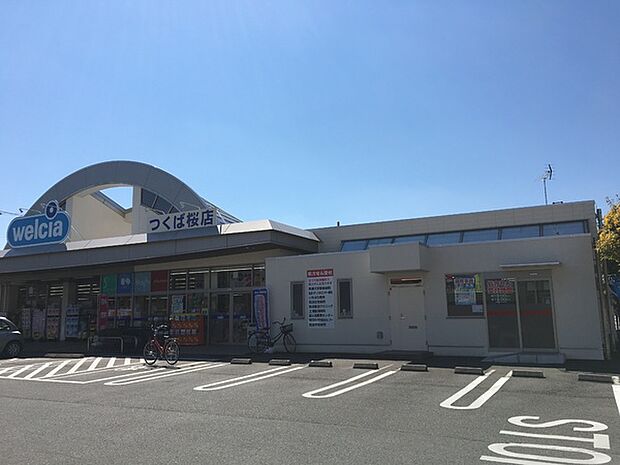 ウエルシア薬局つくば桜店まで1001m