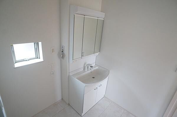 ハンドシャワー付き三面鏡洗面台。