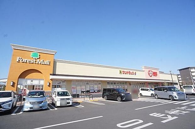 フォレストモール取手（ロピア取手店・サンドラッグ）まで1300m