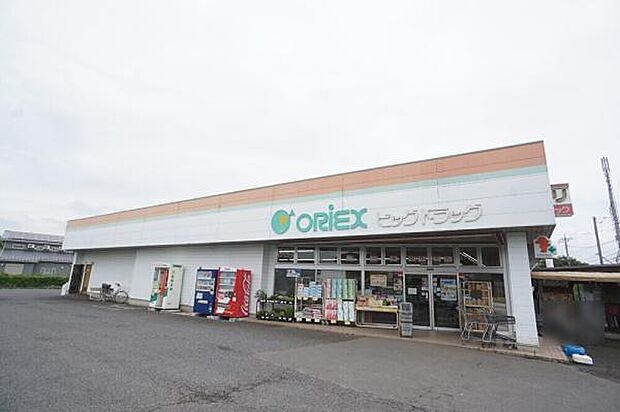 ビッグドラッグ板橋店まで350m