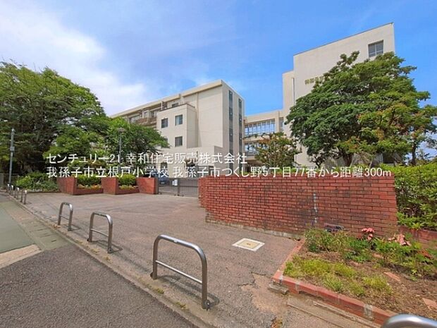 我孫子市立根戸小学校まで300m