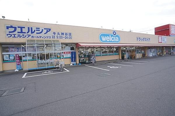 ウエルシア牛久神谷店まで550m