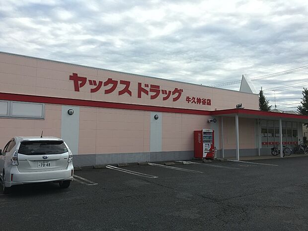 ヤックスドラッグ牛久神谷店まで800m