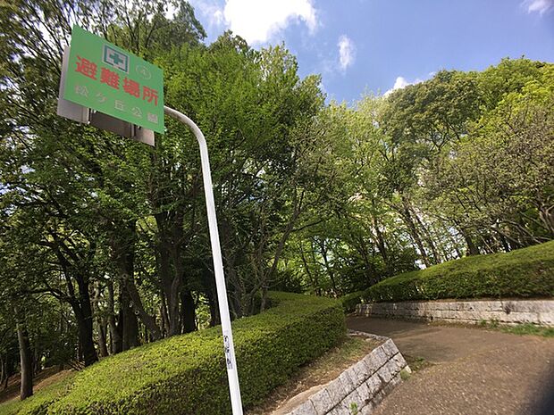松ヶ丘公園まで769m、お子様と休日のお散歩に。