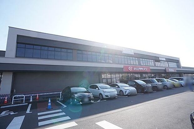 ロピアみらい平店まで745m