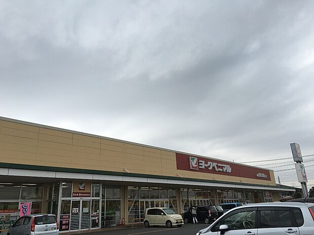 ヨークベニマル谷田部店まで1600m