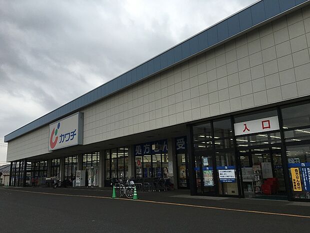 カワチ薬品谷田部店まで1600m