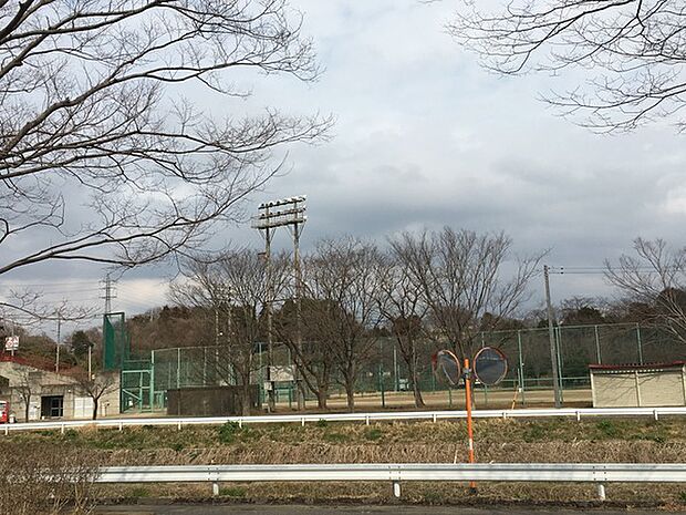 谷田部総合運動公園まで1629m