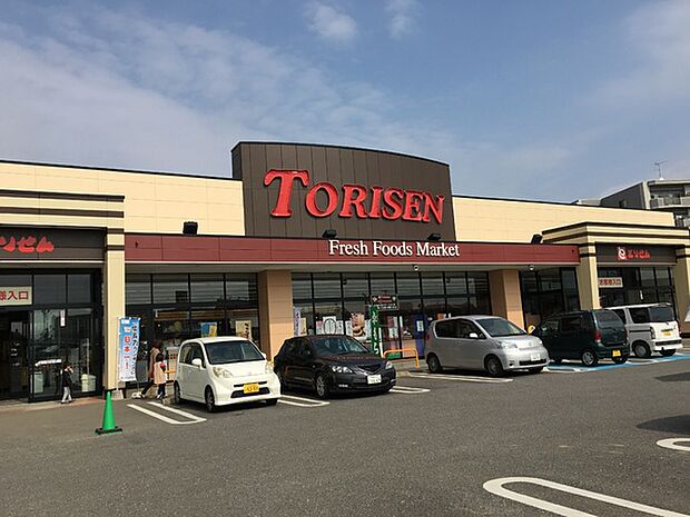 とりせんみらい平店まで1159m