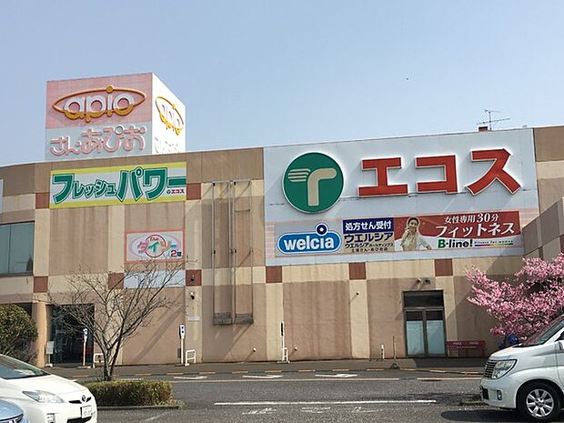 エコス新治SC店まで2707m