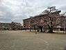 周辺：土浦市立真鍋小学校まで1044m