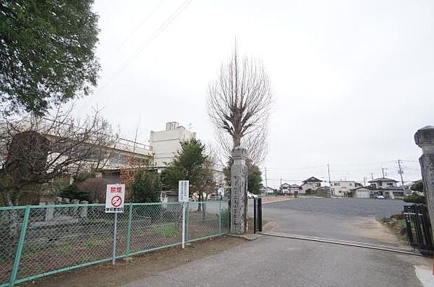 常総市立玉小学校まで666m