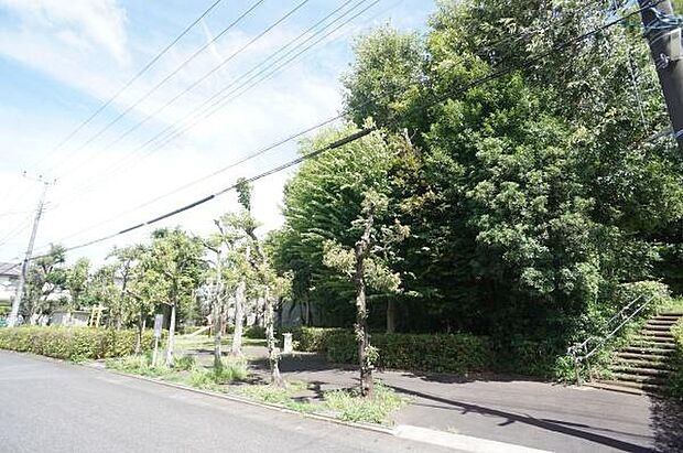 くりのき公園まで210m