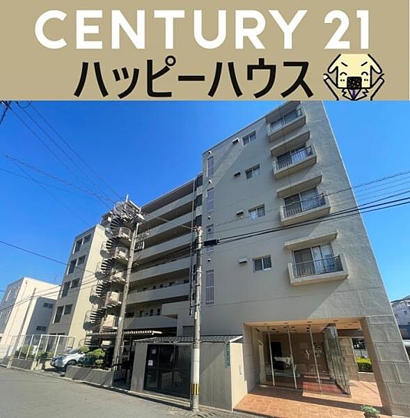 外観：344000017255