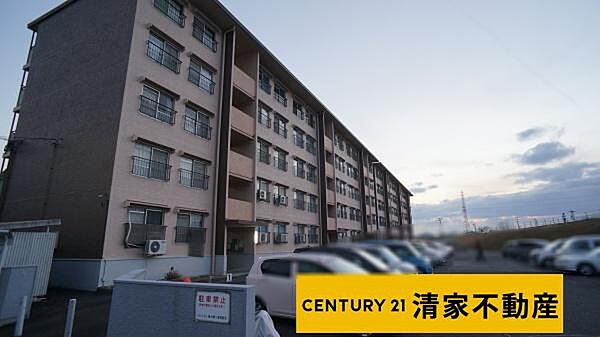 外観：323000399272