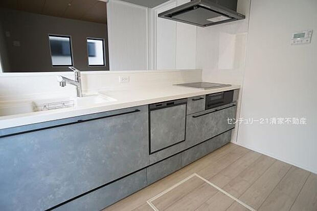 2号棟：忙しい奥様に嬉しい食洗機完備！(2025年02月撮影)