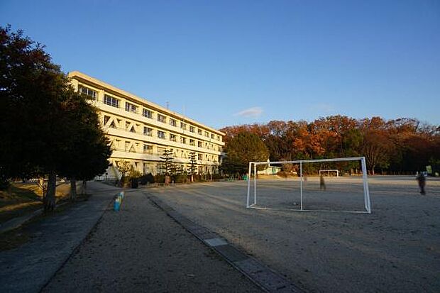 坂下小学校まで500m、坂下小学校まで500m(徒歩約7分)