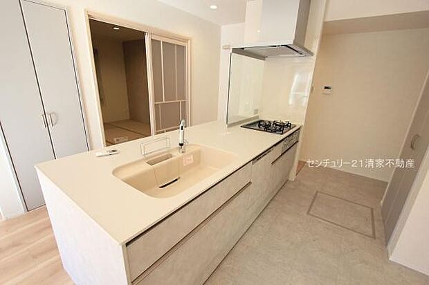 4号棟：忙しい奥様に嬉しい食洗機完備！(2026年01月撮影)