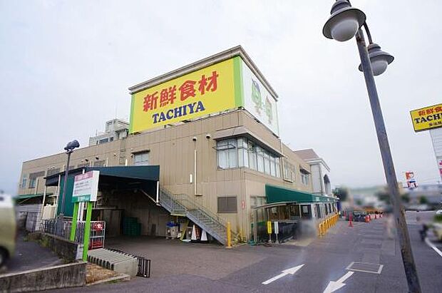 タチヤ多治見店まで1200m、タチヤ多治見店まで1200m(徒歩約15分)
