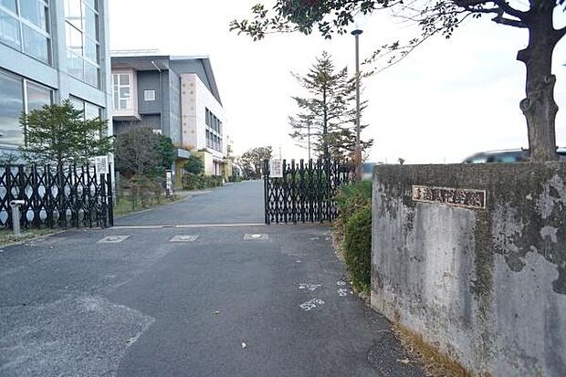 多治見中学校まで270m、多治見中学校まで270m(徒歩約4分)