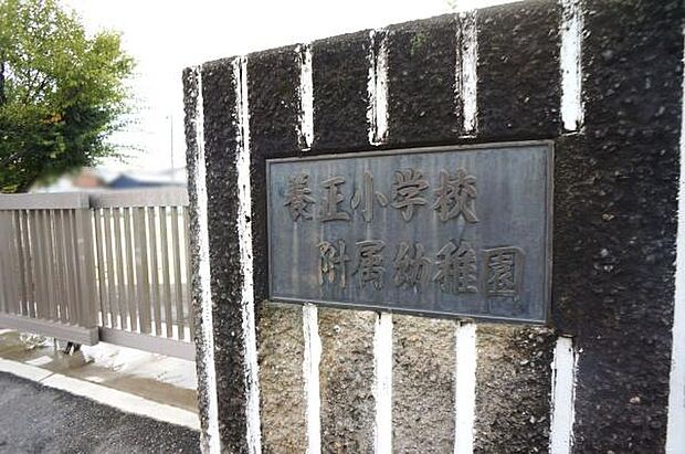 養正小学校附属幼稚園まで881m、養正小学校附属幼稚園まで881m(徒歩約12分)