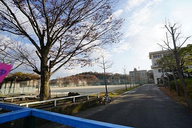 中央台小学校まで450m、中央台小学校まで450m(徒歩約6分)