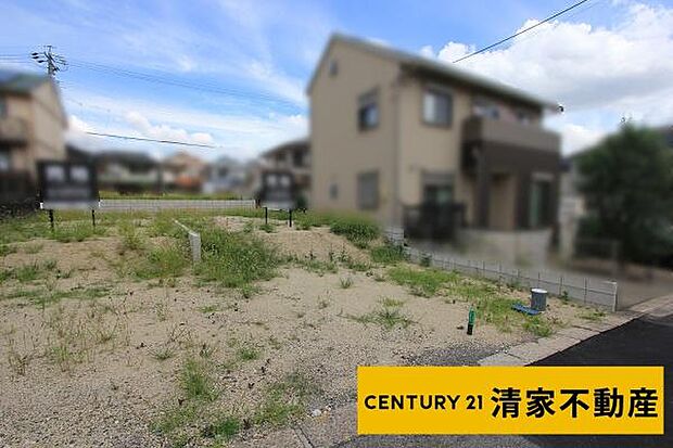 Ｂ号地：南東向き道路に面し日当たり良好！(2025年07月撮影)