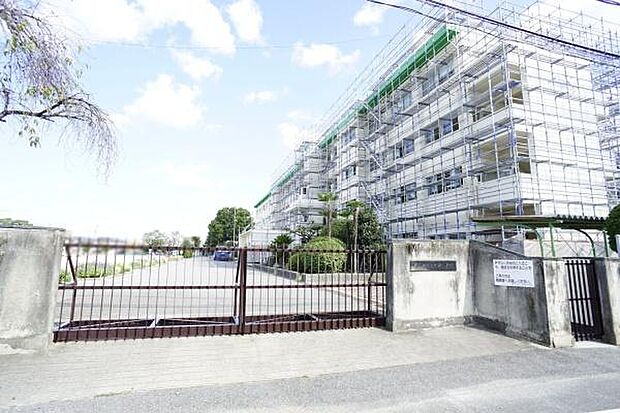 柏原小学校まで450m、柏原小学校まで450m(徒歩約6分)