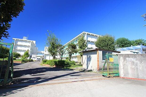 上条小学校まで850m、上条小学校まで850m(徒歩約11分)