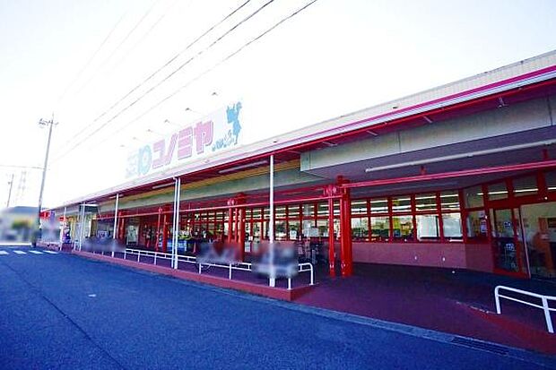 コノミヤ中切店まで491m、コノミヤ中切店まで491m(徒歩約7分)