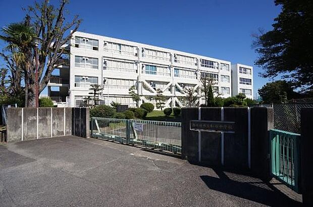 松原中学校まで1100m、松原中学校まで1100m(徒歩約14分)