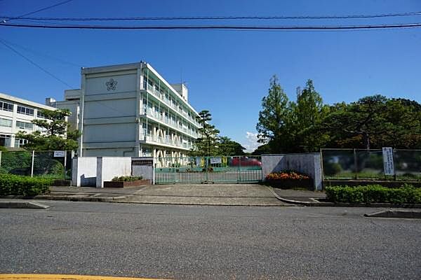 篠木小学校まで550m、篠木小学校まで550m(徒歩約7分)