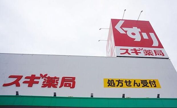 スギドラッグ小牧中央店まで941m、スギドラッグ小牧中央店まで941m(徒歩約12分)