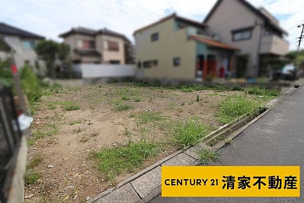 南向き道路で日当たり良好！(2026年08月撮影)