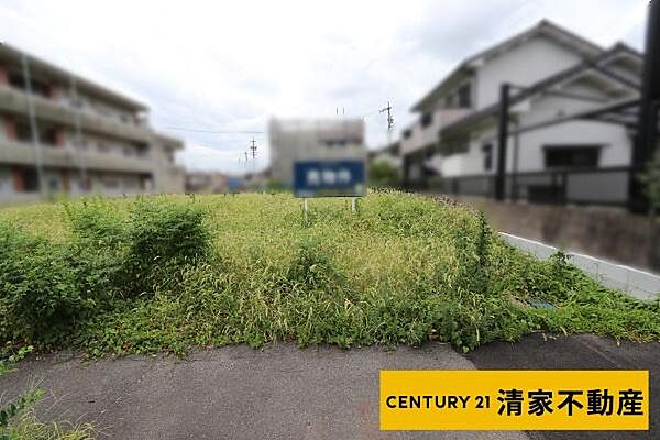 外観：323000525285