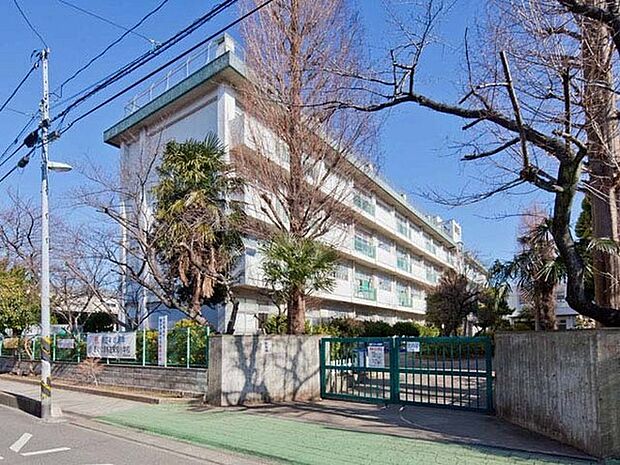さいたま市立栄和小学校まで553m