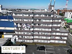 ミューアダマスグランテ